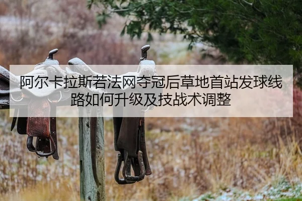 a-er-ka-la-si-ruo-fa-wang-duo-guan-hou-cao-di-shou-zhan-fa-qiu-xian-lu-ru-he-sheng-ji-ji-ji-zhan-shu-tiao-zheng-2-323.jpg